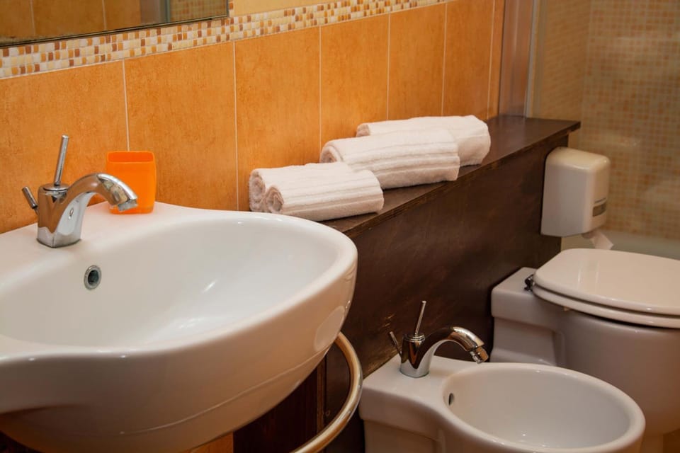 Shower, hair dryer, bidet, towels