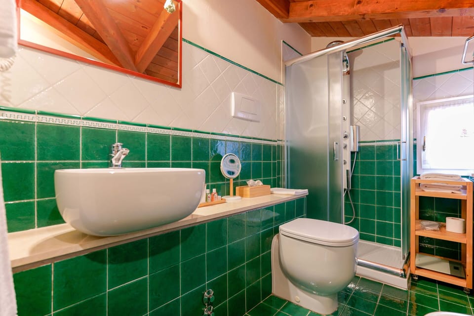 Shower, free toiletries, hair dryer, slippers