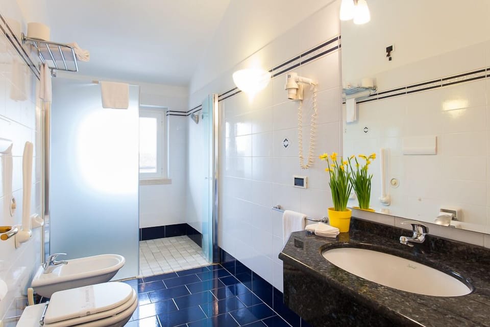 Shower, free toiletries, hair dryer, bidet