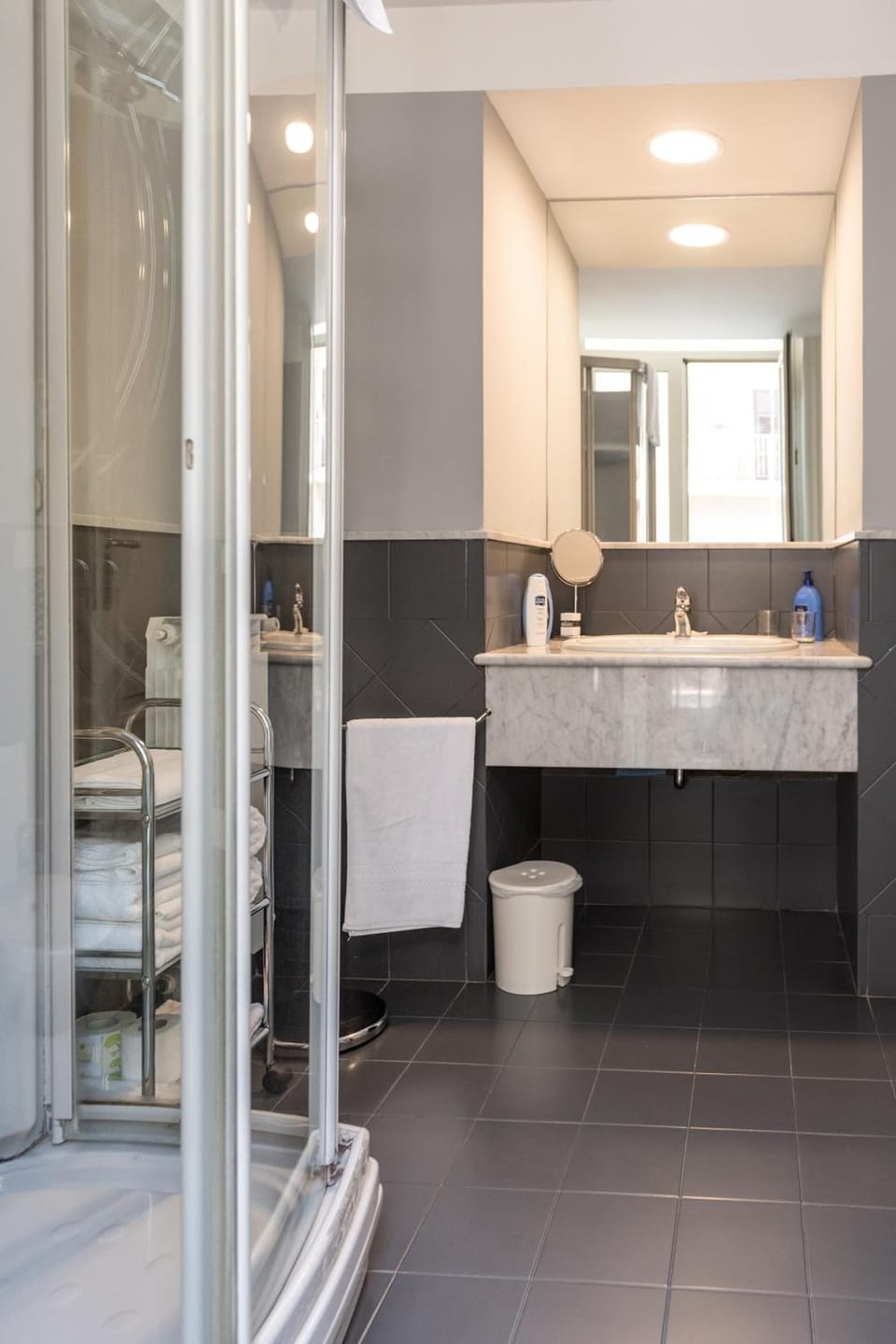 Shower, hair dryer, bidet, towels