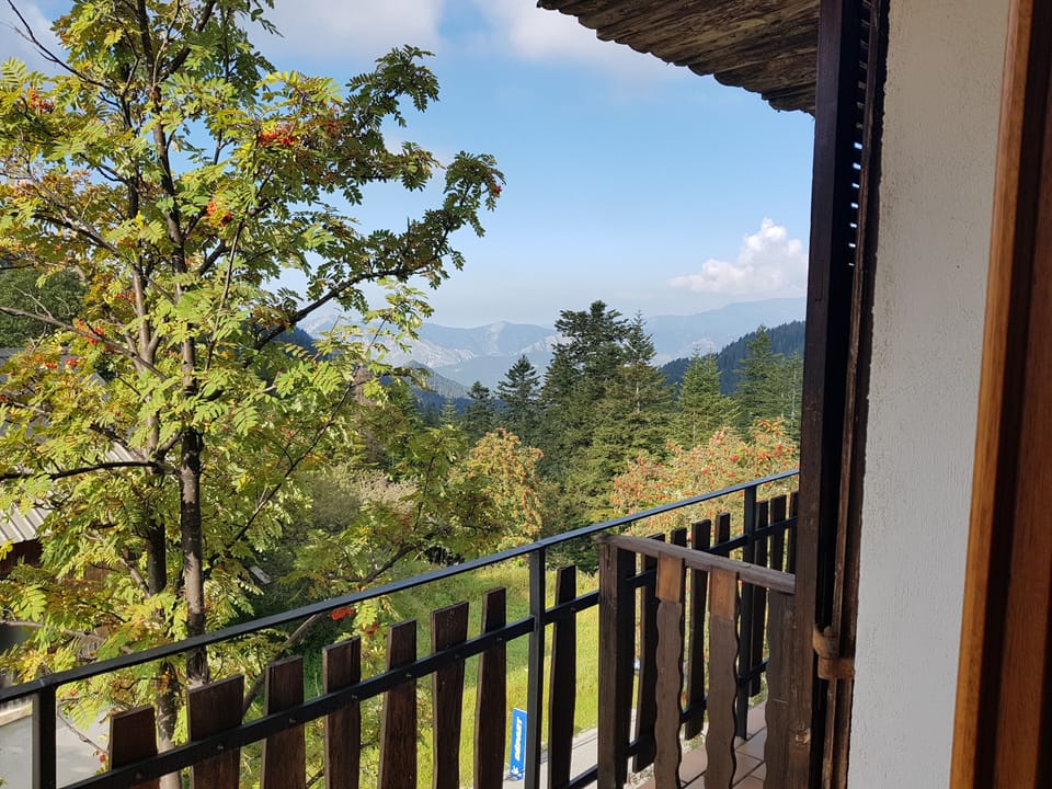 Double Room | Terrace/patio