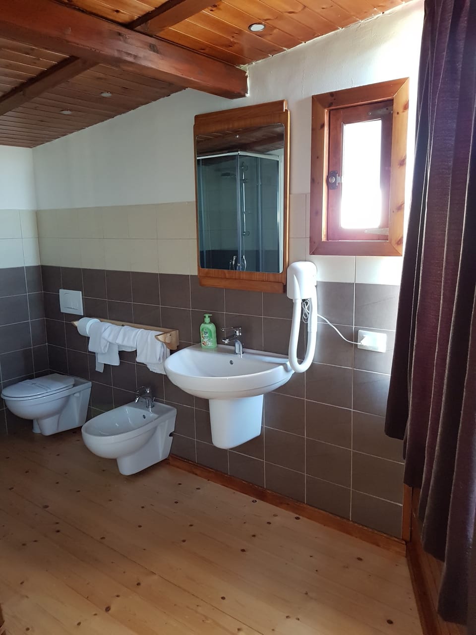 Shower, hair dryer, bidet, towels