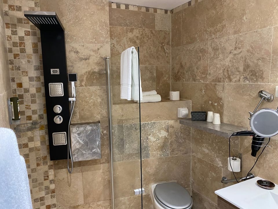 Premium Double Room | Bathroom | Shower, free toiletries, hair dryer, towels
