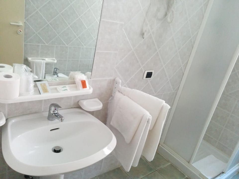 Shower, free toiletries, hair dryer, bidet