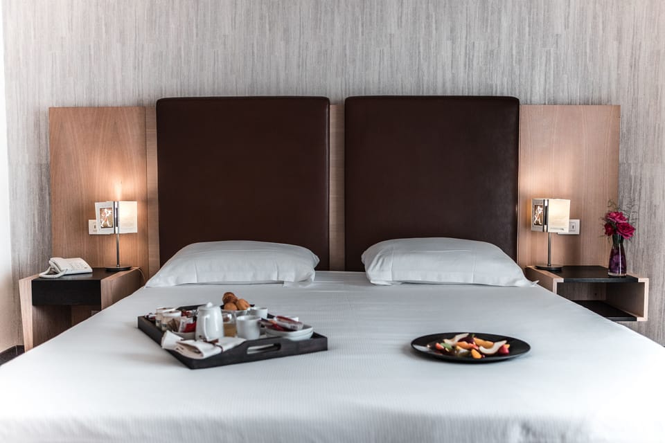 Camera standard Matrimoniale/Twin | Minibar, in-room safe, soundproofing, cribs (surcharge)