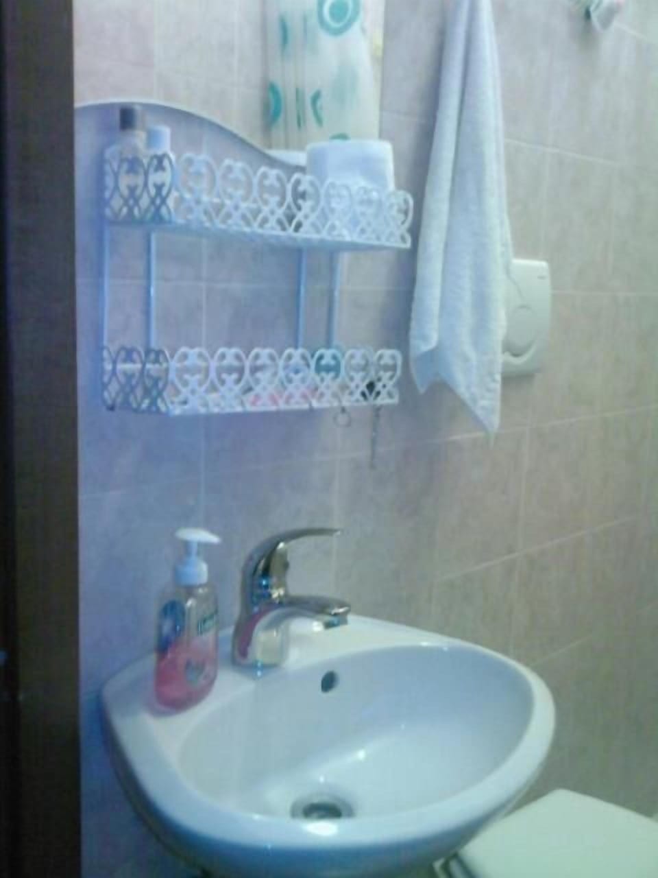Shower, rainfall showerhead, hair dryer, bidet