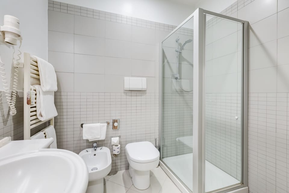 Shower, hair dryer, bidet, towels