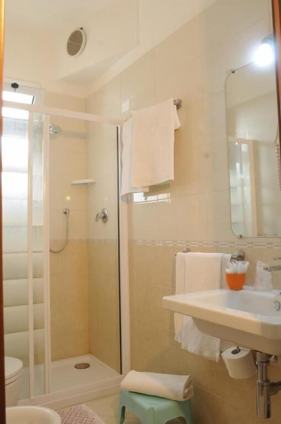Shower, hair dryer, bidet, towels