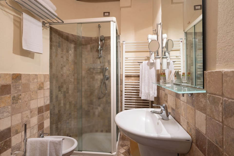 Shower, hair dryer, bidet, towels