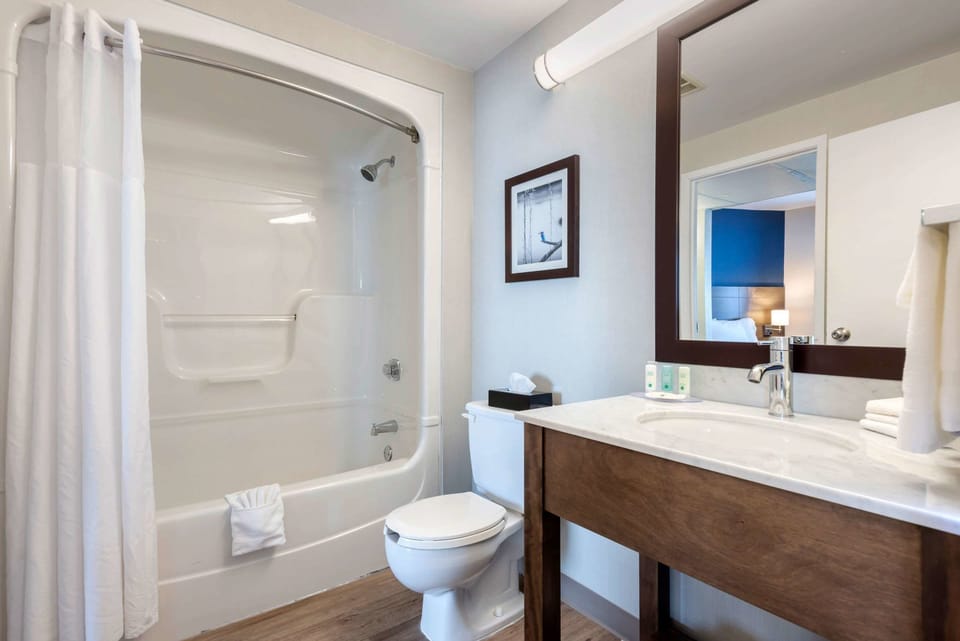Combined shower/tub, free toiletries, hair dryer, towels
