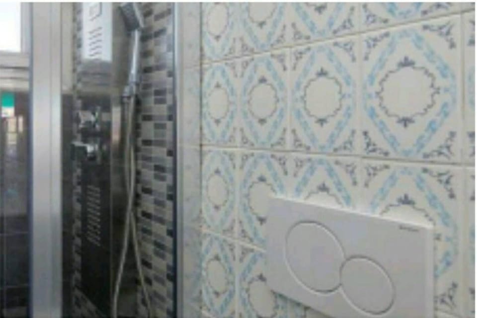 Separate tub and shower, jetted tub, hydromassage showerhead