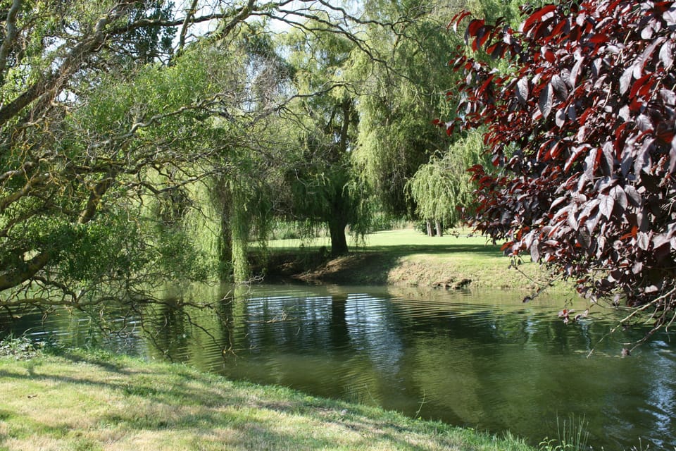 Fishing