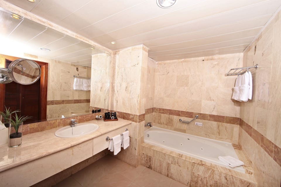 Separate tub and shower, jetted tub, hydromassage showerhead