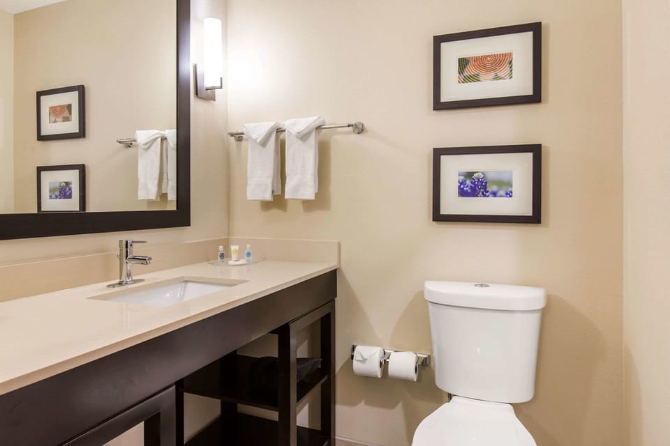 Free toiletries, hair dryer, towels