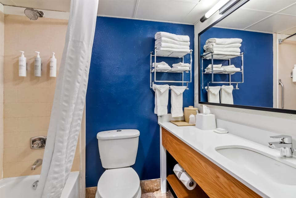 Room, 1 King Bed | Bathroom | Hair dryer, towels