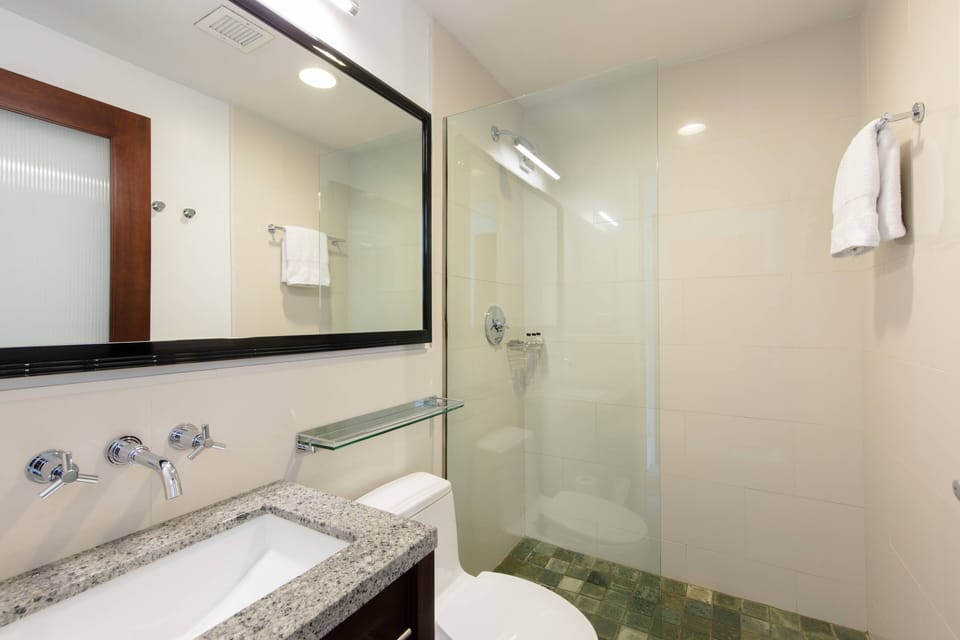 Room, 1 King Bed (No View) | Bathroom | Shower, free toiletries, hair dryer, towels