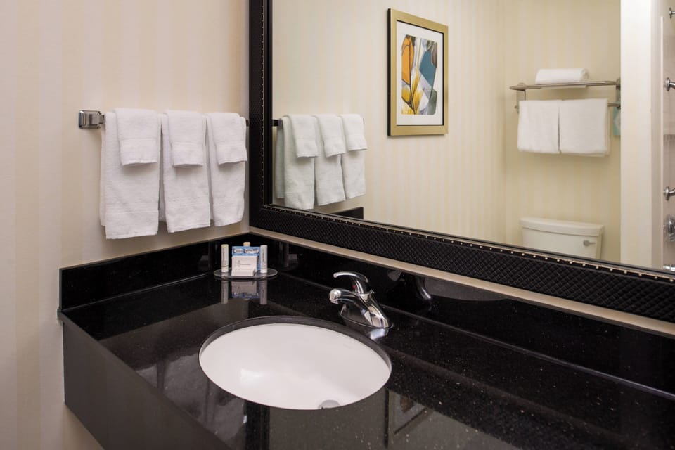 Combined shower/tub, free toiletries, hair dryer, towels
