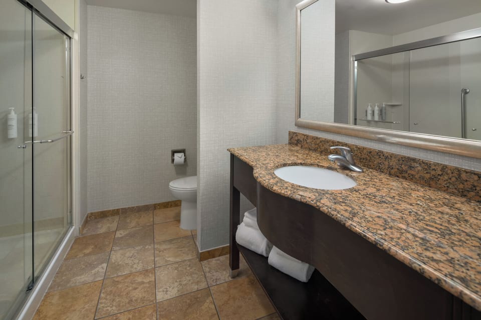 Standard Room, 1 King Bed with Sofa bed | Bathroom | Combined shower/tub, free toiletries, hair dryer, towels