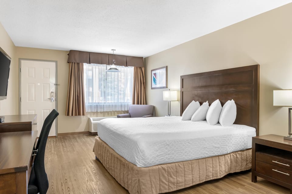 Standard Room, 1 King Bed, Non Smoking | Desk, blackout drapes, iron/ironing board, rollaway beds (surcharge)