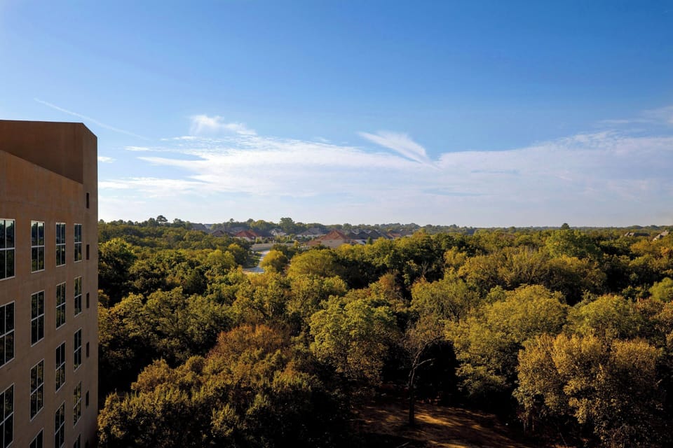 Suite, 1 Bedroom | 1 bedroom, premium bedding, down comforters, desk