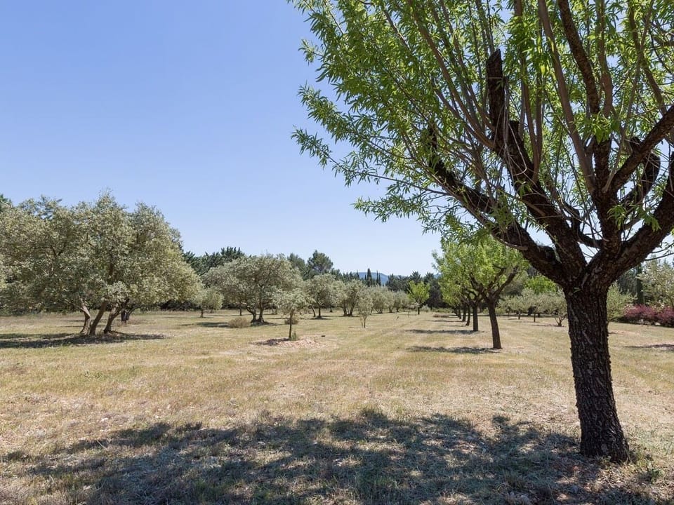 Deluxe Double Room, Private Bathroom | View from property