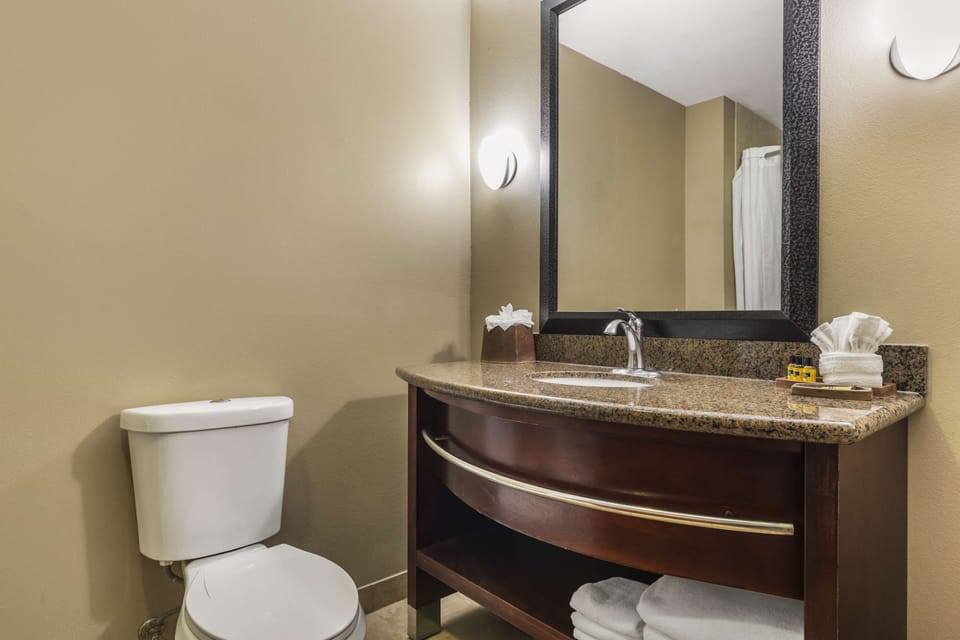 Combined shower/tub, free toiletries, hair dryer, towels