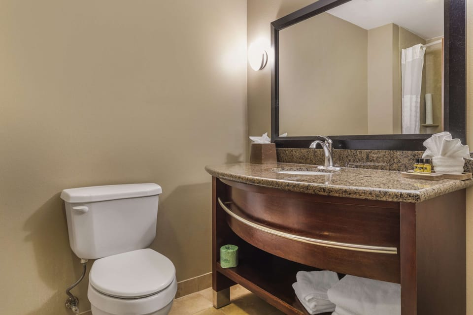 Combined shower/tub, free toiletries, hair dryer, towels