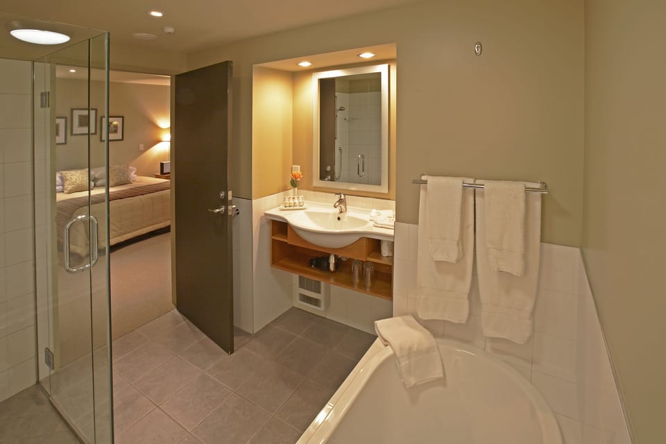 Deluxe Room | Bathroom | Separate tub and shower, free toiletries, hair dryer, bathrobes