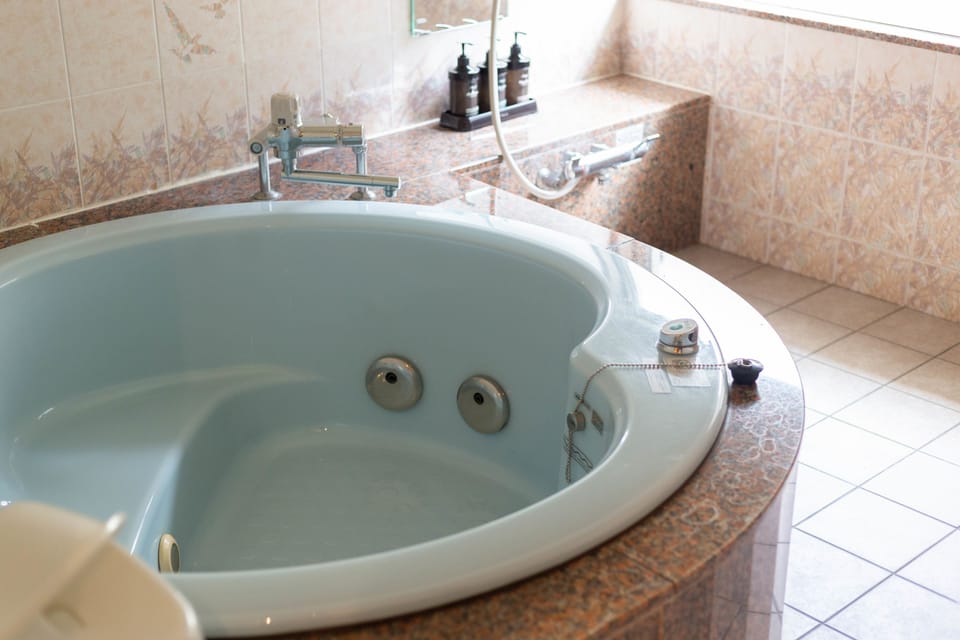 Separate tub and shower, free toiletries, hair dryer, bathrobes
