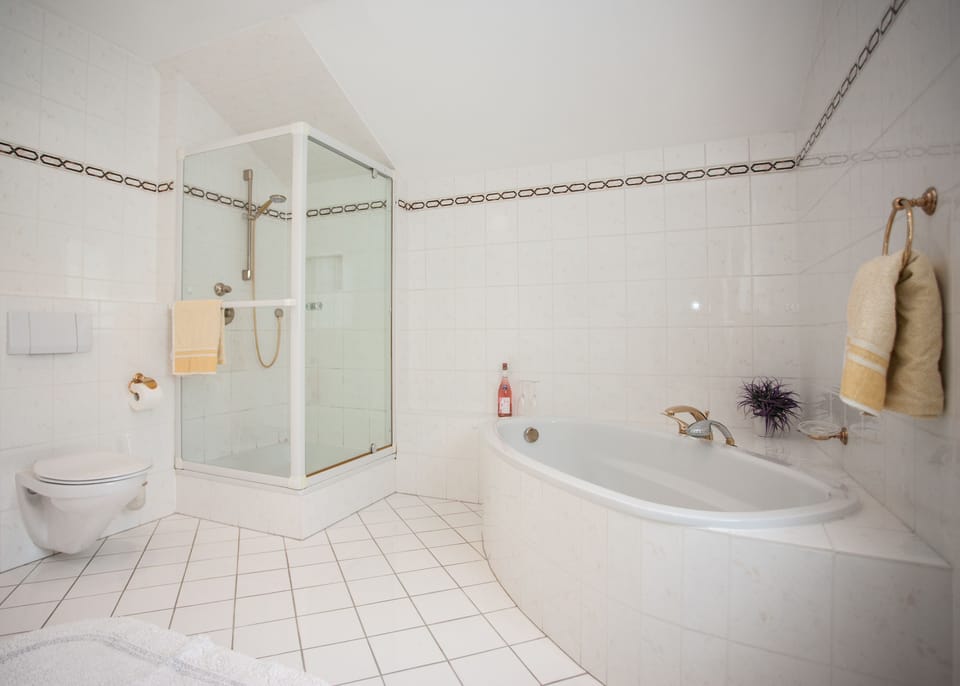 Hair dryer, towels, toilet paper