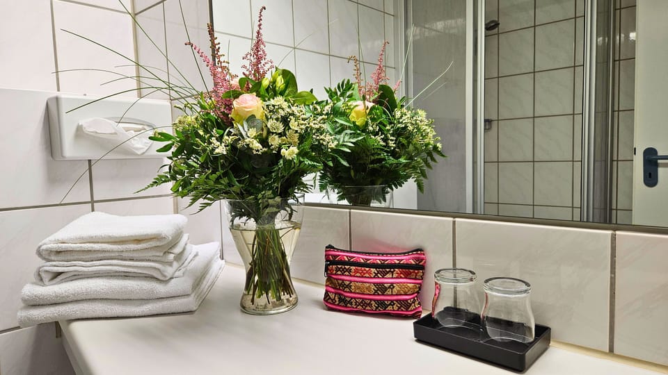 Shower, eco-friendly toiletries, hair dryer, towels