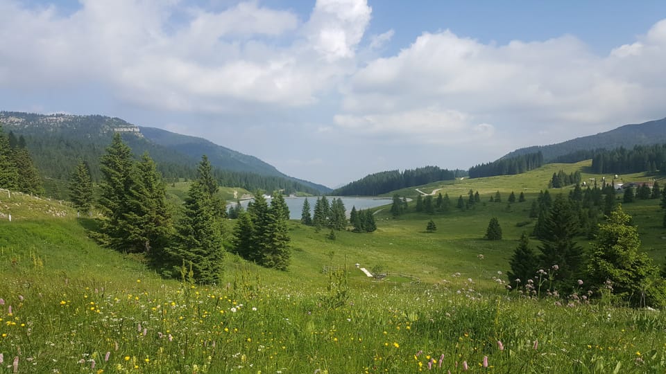 Hiking