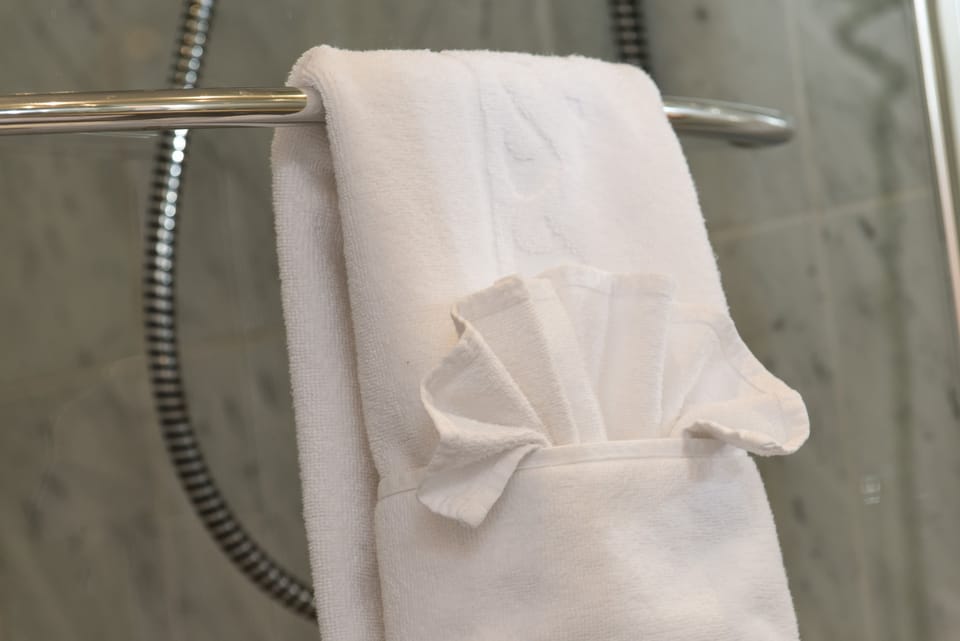 Combined shower/tub, eco-friendly toiletries, hair dryer, towels