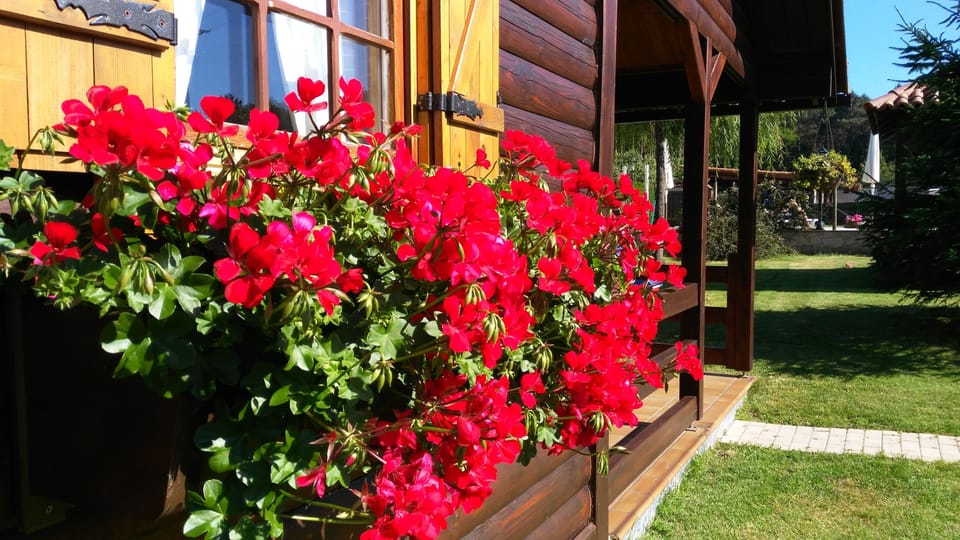 Cabin, 1 Bedroom | Garden view