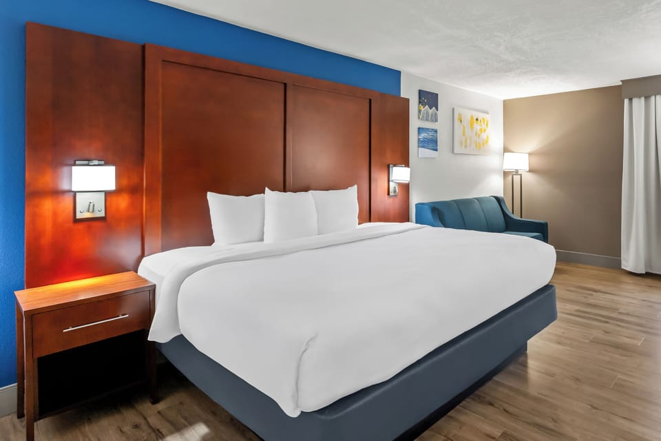 Standard Room, 1 King Bed, Non Smoking | Room amenity