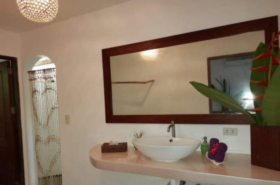 Shower, free toiletries, towels