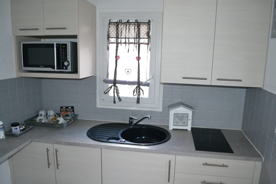 Double Room (Edelweiss) | Private kitchen | Fridge, microwave, coffee/tea maker, electric kettle