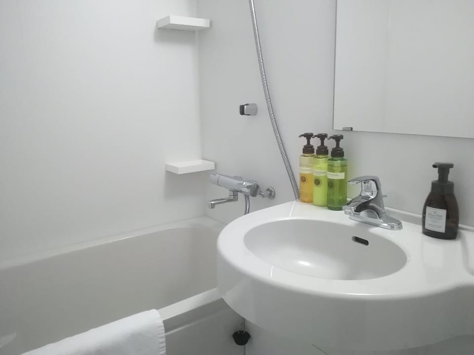 Combined shower/tub, free toiletries, hair dryer, slippers
