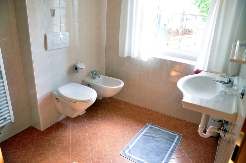 Shower, free toiletries, hair dryer, bidet