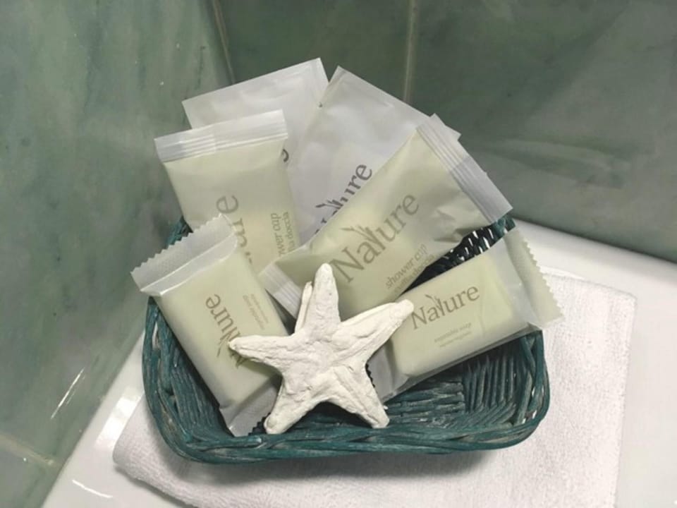 Shower, free toiletries, hair dryer, bidet