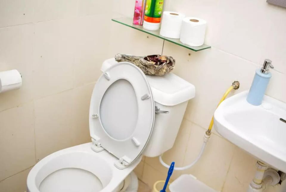 Studio | Bathroom | Shower, rainfall showerhead, towels