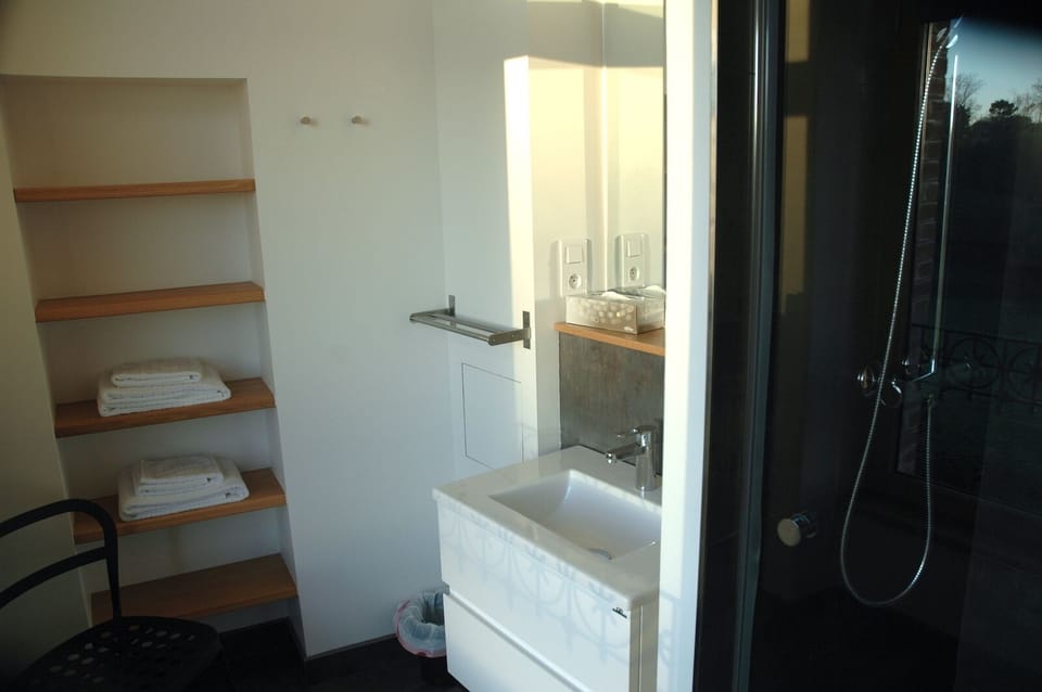 Double Room | Bathroom | Shower, hair dryer, towels, soap