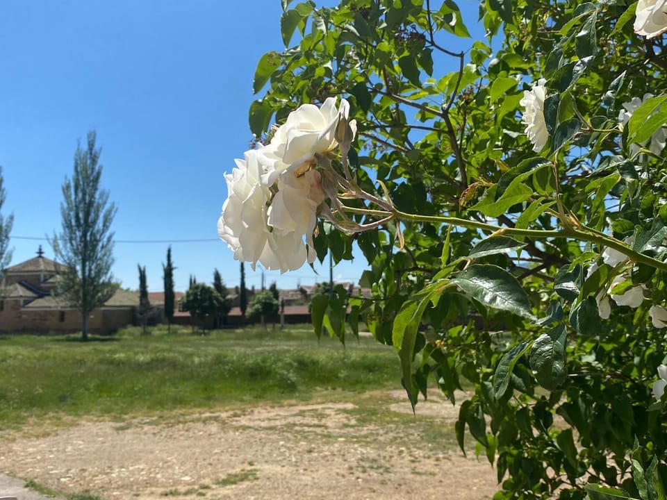 El Molino del Arriero Country House in Castile and León