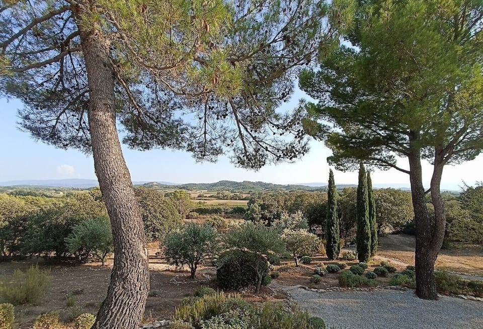 Superior Double Room | Garden view
