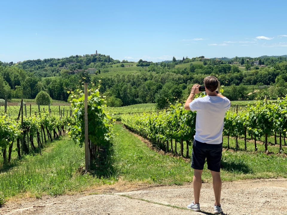Vineyard