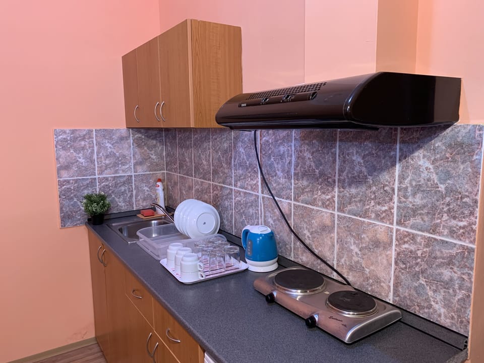 Apartment, 1 Bedroom | Private kitchen | Shared fridge, microwave, paper towels