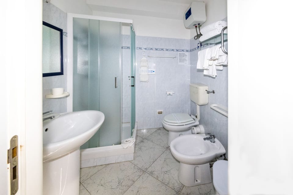 Shower, free toiletries, hair dryer, bidet