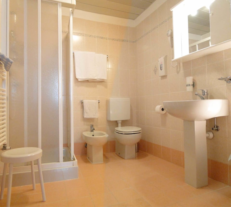 Shower, free toiletries, hair dryer, bidet