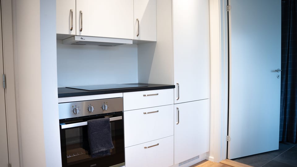 Deluxe Apartment | Private kitchen | Shared fridge, microwave, coffee/tea maker, electric kettle