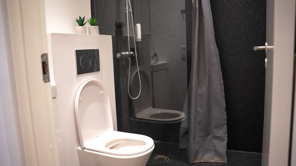 Deluxe Single Room | Bathroom | Free toiletries, hair dryer, towels